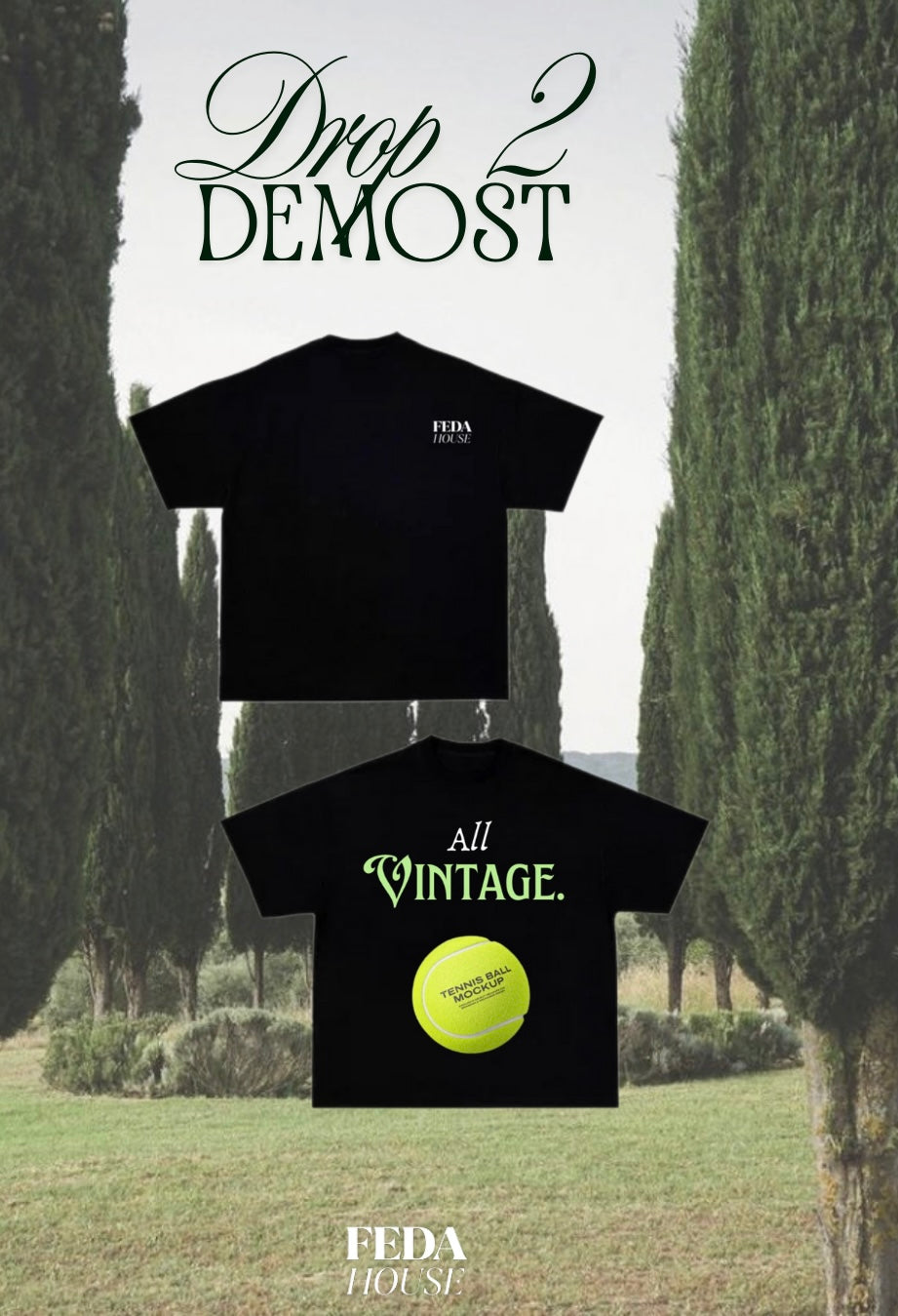 Drop 2 DEMOST