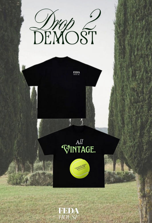 Drop 2 DEMOST